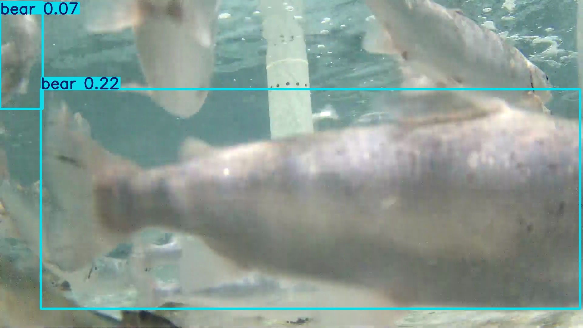 51s